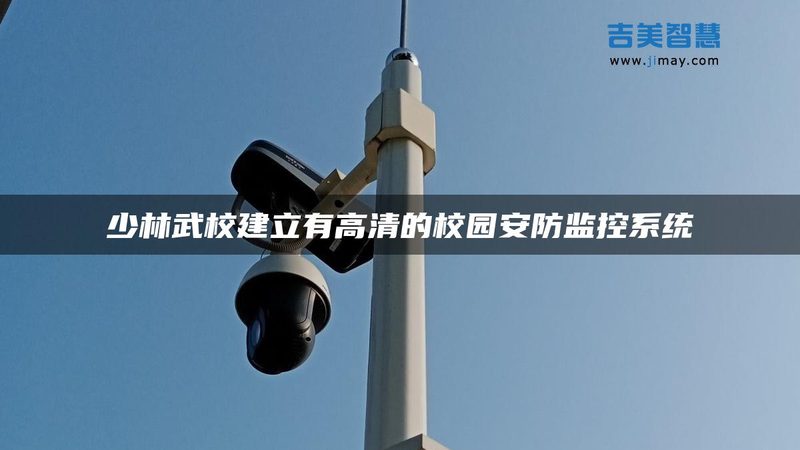 远程监控双画面：解析其优势与挑战**